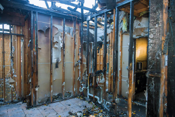 Professional Fire Damage Removal technician working in Tarpon Springs, FL